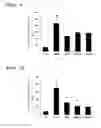 Fig. 06 - THERAPEUTIC AGENT FOR CHRONIC RESPIRATORY DISEASE AND COMPOSITION FOR INHIBITING CARDIAC FIBROSIS