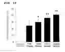 Fig. 11 - THERAPEUTIC AGENT FOR CHRONIC RESPIRATORY DISEASE AND COMPOSITION FOR INHIBITING CARDIAC FIBROSIS