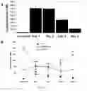 Fig. 05 - USES OF AND METHODS OF TREATMENT WITH CYSTATHIONINE