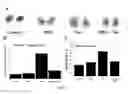 Fig. 07 - USES OF AND METHODS OF TREATMENT WITH CYSTATHIONINE