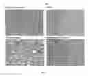 Fig. 14 - USES OF AND METHODS OF TREATMENT WITH CYSTATHIONINE