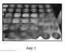 Fig. 06 - Shape memory silk materials