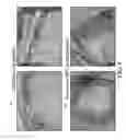 Fig. 09 - Shape memory silk materials