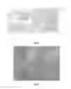 Fig. 02 - Composite material for tissue restoration