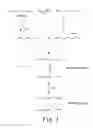 Fig. 02 - Cross-linked fatty acid-based biomaterials
