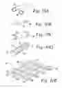 Fig. 09 - Cross-linked fatty acid-based biomaterials
