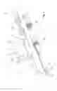 Fig. 02 - Medicament delivery device