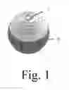 Fig. 02 - Sports Balls with tracker