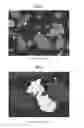 Fig. 02 - Hydrogenation and ethynylation catalysts