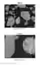 Fig. 09 - Hydrogenation and ethynylation catalysts