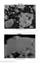 Fig. 22 - Hydrogenation and ethynylation catalysts