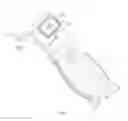 Fig. 02 - Gecko gun