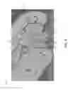 Fig. 04 - Chainsaw guide bar roller bearing seal