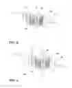 Fig. 03 - Over-molded preform system and method