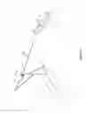 Fig. 09 - Capture and launch apparatus and method of using same for automated launch, retrieval, and servicing of a hovering aircraft