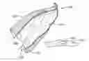 Fig. 01 - EXTERNALLY-ABSORBENT INVERTABLE WASTE MOPPING AND DISPOSAL BAG FOR CLEANING UP URINE, VOMIT, AND STOOL