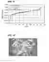 Fig. 07 - Crystalline forms of a biphenyl compound