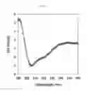 Fig. 05 - Method for preparing peptide-polymer conjugate with stabilized α-helix secondary structure and peptide-polymer conjugate prepared thereby