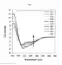 Fig. 08 - Method for preparing peptide-polymer conjugate with stabilized α-helix secondary structure and peptide-polymer conjugate prepared thereby