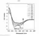 Fig. 09 - Method for preparing peptide-polymer conjugate with stabilized α-helix secondary structure and peptide-polymer conjugate prepared thereby