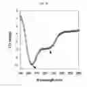 Fig. 12 - Method for preparing peptide-polymer conjugate with stabilized α-helix secondary structure and peptide-polymer conjugate prepared thereby