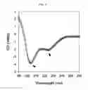 Fig. 13 - Method for preparing peptide-polymer conjugate with stabilized α-helix secondary structure and peptide-polymer conjugate prepared thereby