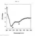 Fig. 14 - Method for preparing peptide-polymer conjugate with stabilized α-helix secondary structure and peptide-polymer conjugate prepared thereby