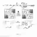 Fig. 02 - Phototunable thermoplastic elastomer hydrogel networks