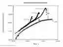 Fig. 01 - Stabilized Balanced Melt Strength and Strain Hardened Polypropylene