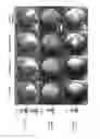 Fig. 18 - Composite pillar structures