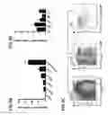 Fig. 10 - METHODS OF PREVENTING AND REVERSING STEM CELL AGING