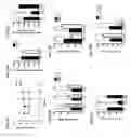 Fig. 13 - METHODS OF PREVENTING AND REVERSING STEM CELL AGING