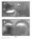 Fig. 02 - THREE-DIMENSIONAL SCAFFOLD CULTURE SYSTEM OF FUNCTIONAL PANCREATIC ISLETS