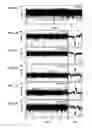 Fig. 04 - DETECTION OF NUCLEIC ACID POLYMERASE CONFORMATIONAL CHANGES USING A NANOTUBE