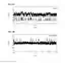 Fig. 06 - DETECTION OF NUCLEIC ACID POLYMERASE CONFORMATIONAL CHANGES USING A NANOTUBE