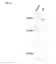 Fig. 08 - DETECTION OF NUCLEIC ACID POLYMERASE CONFORMATIONAL CHANGES USING A NANOTUBE