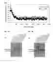 Fig. 09 - DETECTION OF NUCLEIC ACID POLYMERASE CONFORMATIONAL CHANGES USING A NANOTUBE