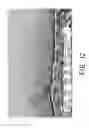 Fig. 12 - HIGH PERFORMANCE MATERIAL FOR COILED TUBING APPLICATIONS AND THE METHOD OF PRODUCING THE SAME