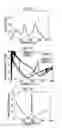 Fig. 09 - Soundproof structure and soundproof structure manufacturing method