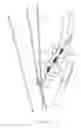 Fig. 06 - Archery bow