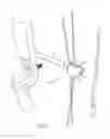 Fig. 11 - Archery bow