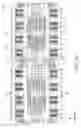 Fig. 09 - Circuit device, physical quantity detection device, electronic apparatus, and vehicle
