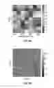 Fig. 09 - Imaging device with image dispersing to create a spatially coded image