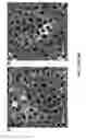 Fig. 29 - Nanoporous semiconductor thin films