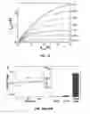 Fig. 31 - Nanoporous semiconductor thin films