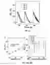 Fig. 32 - Nanoporous semiconductor thin films
