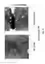 Fig. 42 - Nanoporous semiconductor thin films