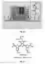 Fig. 52 - Nanoporous semiconductor thin films