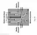 Fig. 03 - Engineering of a novel breast tumor microenvironment on a microfluidic chip