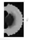 Fig. 06 - Engineering of a novel breast tumor microenvironment on a microfluidic chip
